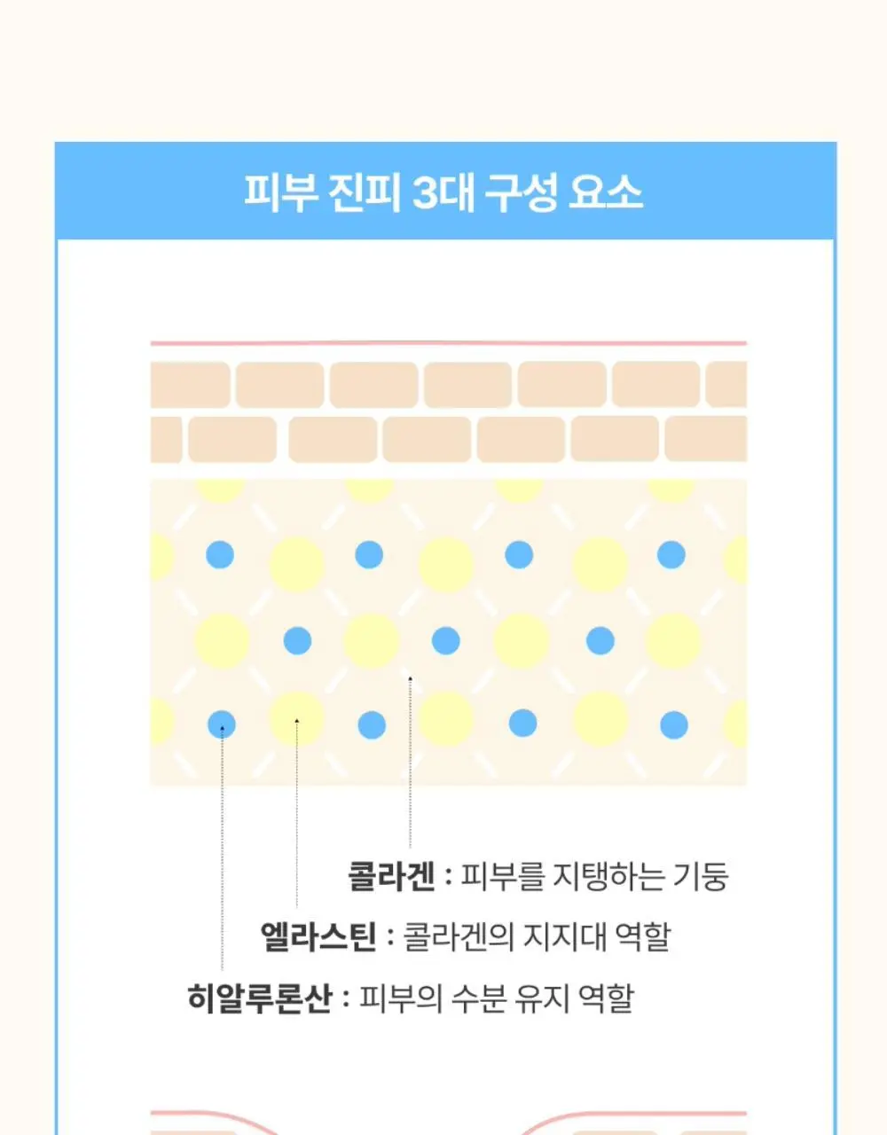 [300달톤 초저분자] 귤메달 피쉬콜라겐+레몬즙부스터 상세페이지 40
